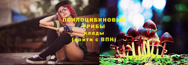 прущий лед Богородицк